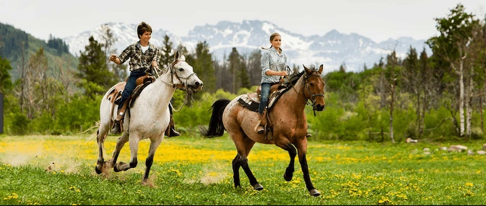 Confident plus-size woman riding Westwood a horse through a field with a smile on her face.